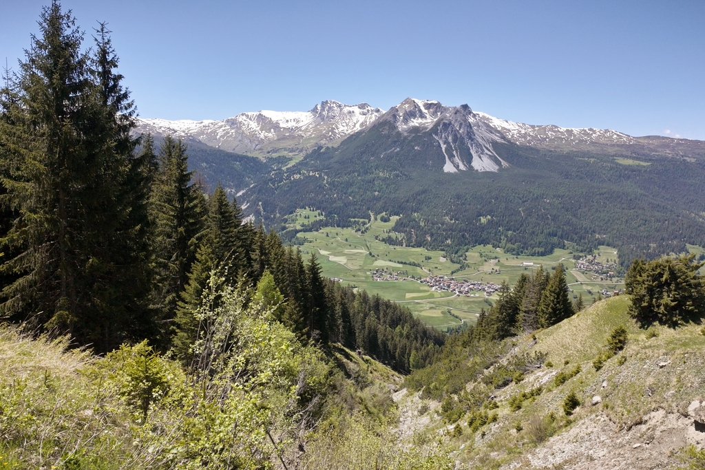 1538d38930.jpg