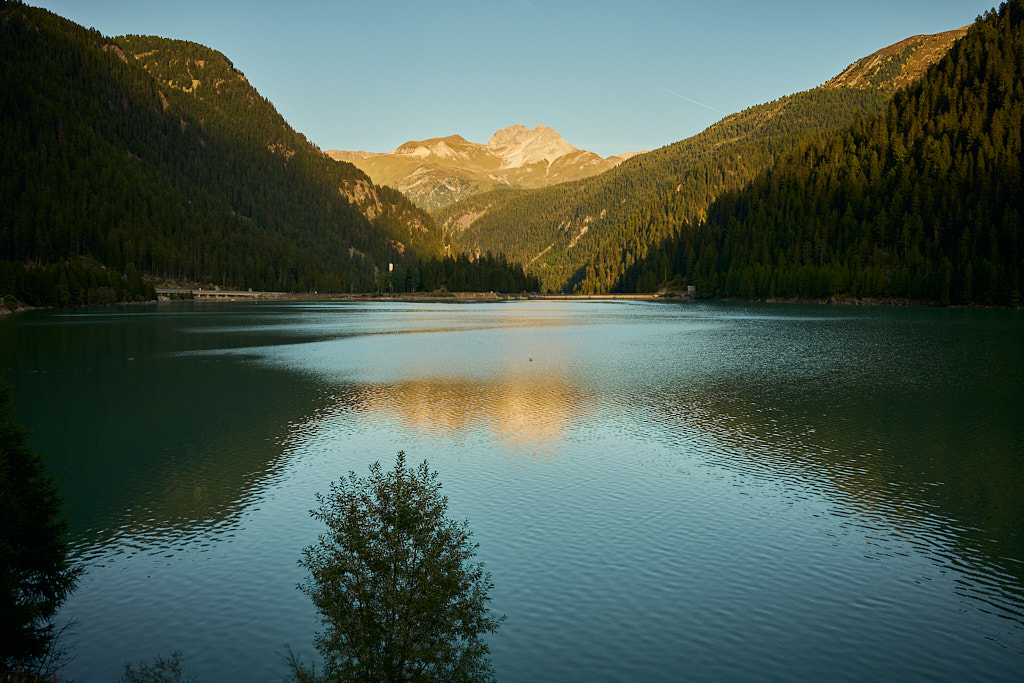156888a3a7.jpg