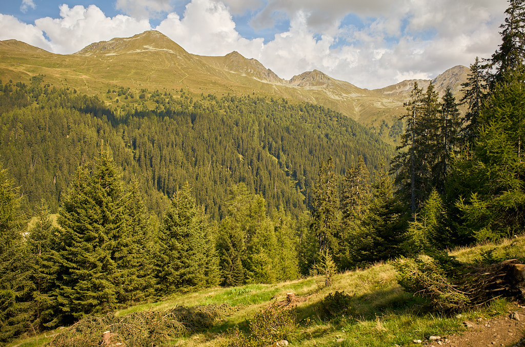15d0fa3089.jpg