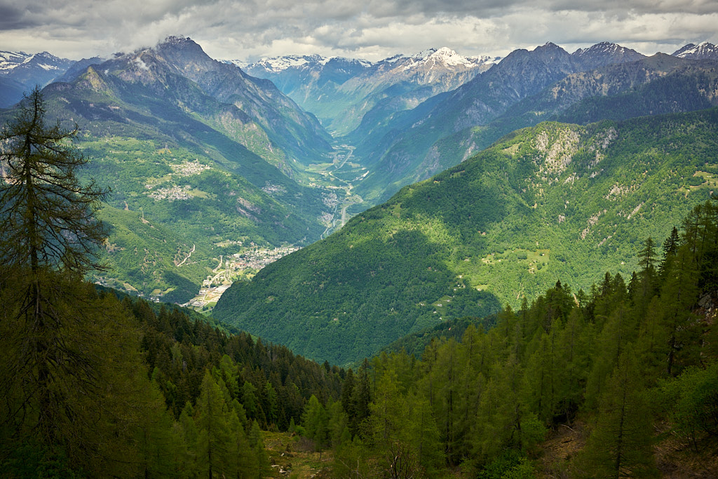 Weitblick ins Valle Mesolcina Weitblick ins Valle Mesolcina