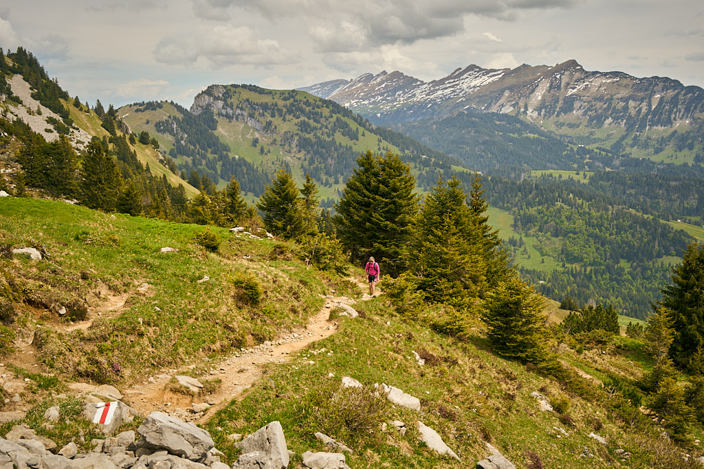 Im Gipfelaufstieg mit Blick auf Gulmen und Leistchamm Im Gipfelaufstieg mit Blick auf Gulmen und Leistchamm