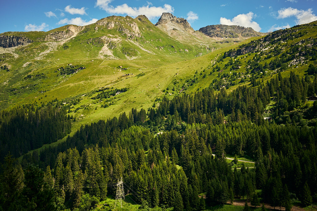 Die Berghänge südlich des Zervreilasees