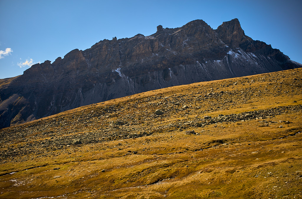 Die zerfurchten Gratfelsen der Amselflue Die zerfurchten Gratfelsen der Amselflue