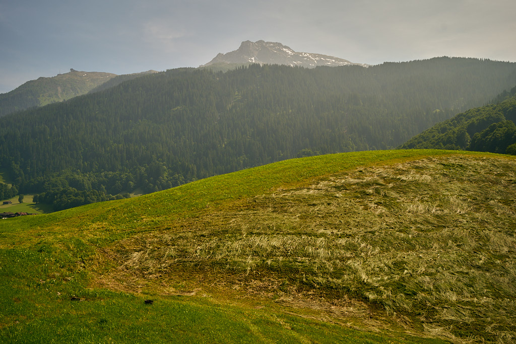 Gotschnagrat und Grünhorn