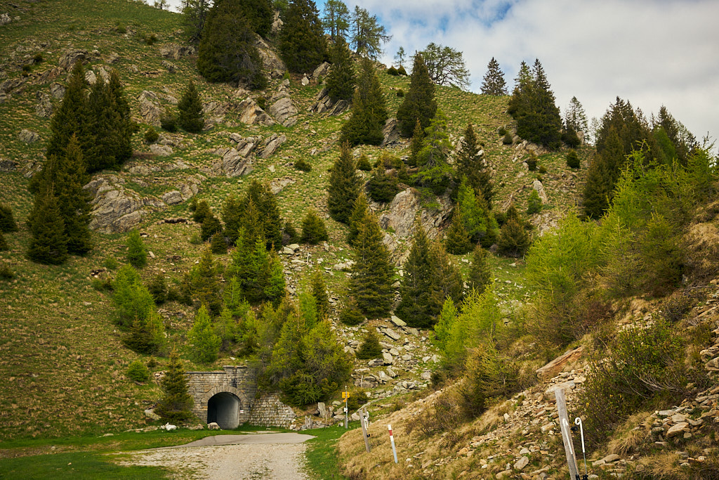 Der Tunnel von der Alpe di Cadinello aus Der Tunnel von der Alpe di Cadinello aus
