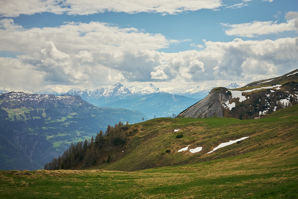 Blick auf das Felsberger Älpli und die Surselva Blick auf das Felsberger Älpli und die Surselva