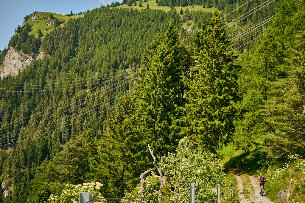 Auf dem alten Schynweg Auf dem alten Schynweg