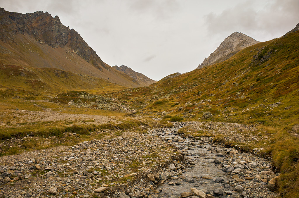 21e3828f04.jpg