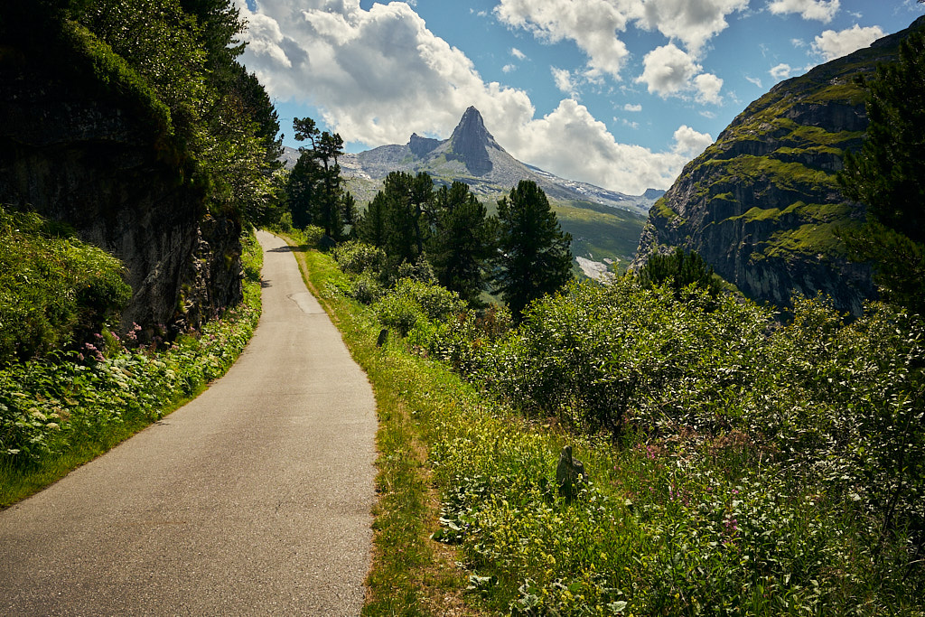 Auf dem Hangweg entlang dem Seeufer