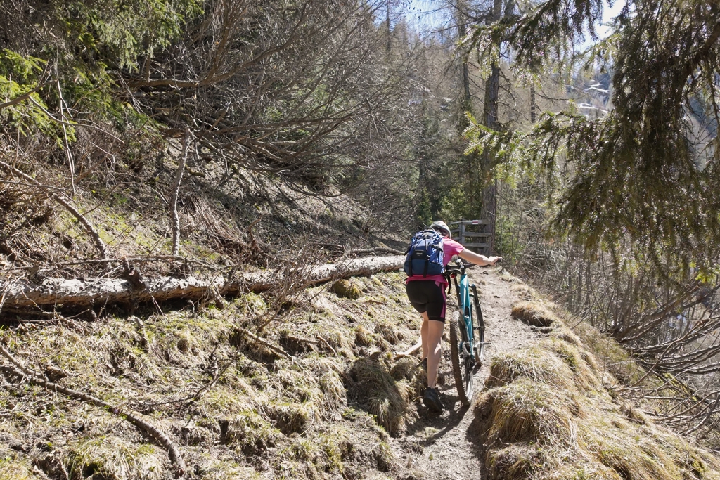 Auf dem Wanderweg Auf dem Wanderweg