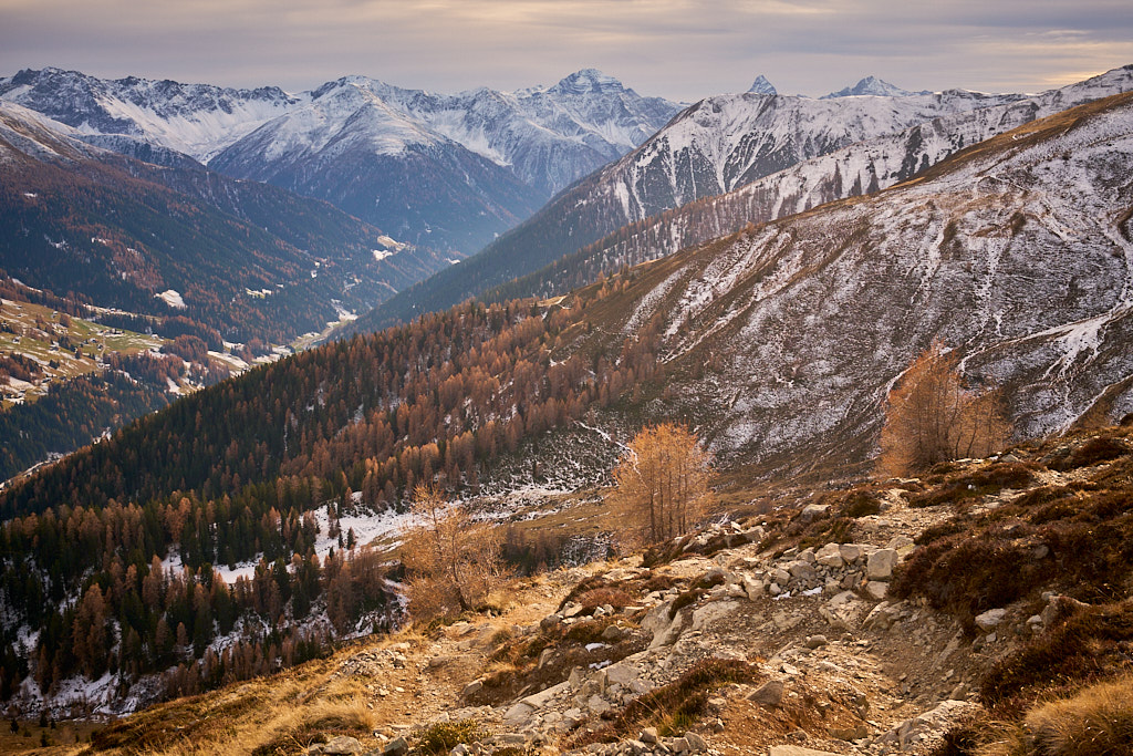 Im Abstieg zur Stafelalp