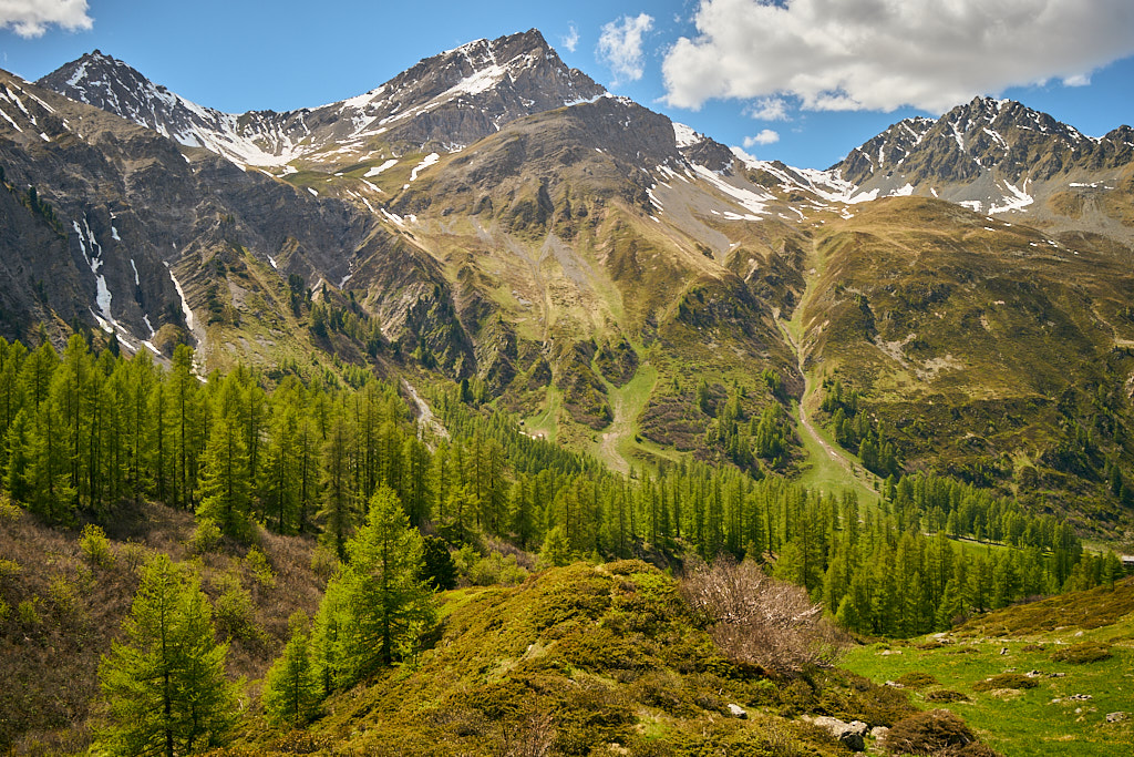 Älplihorn und Leidbachhorn Älplihorn und Leidbachhorn