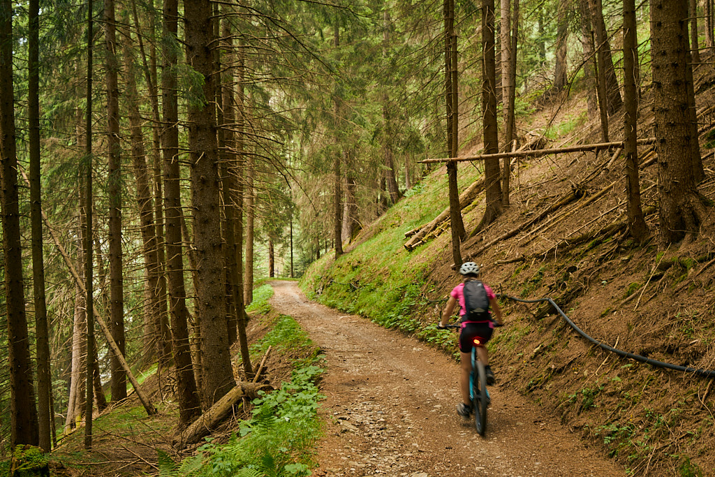 Auf dem alten Schynweg Auf dem alten Schynweg