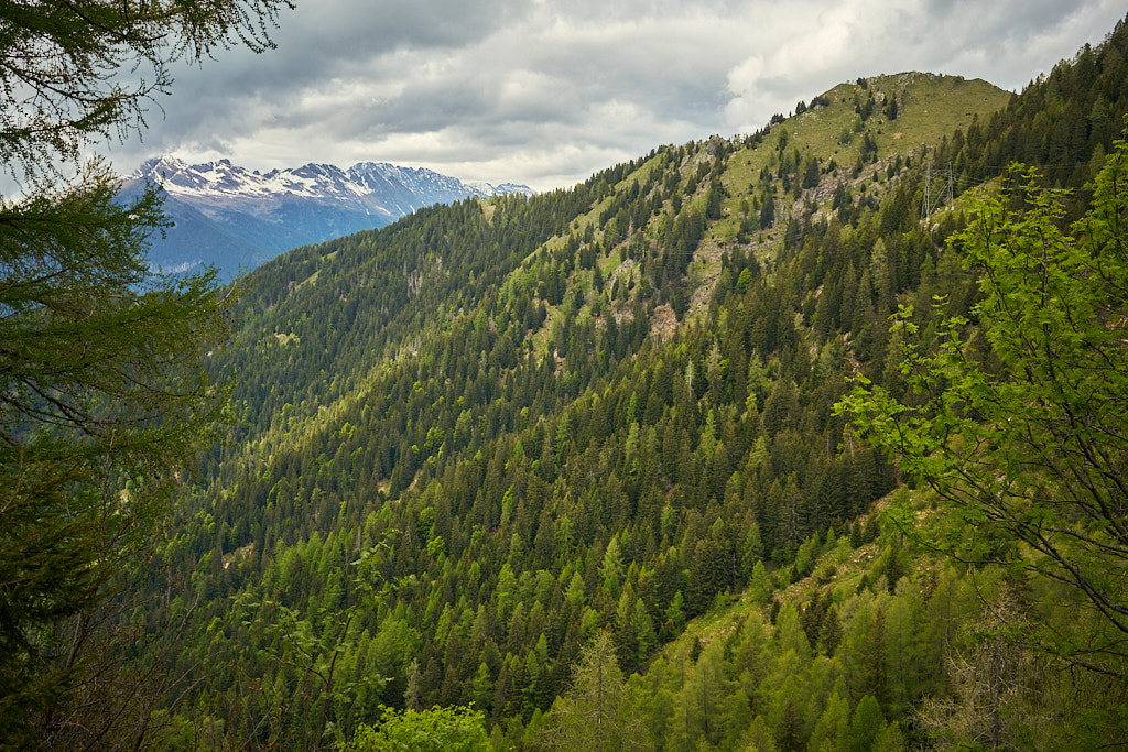 Blick zurück auf die Cadolcia Blick zurück auf die Cadolcia