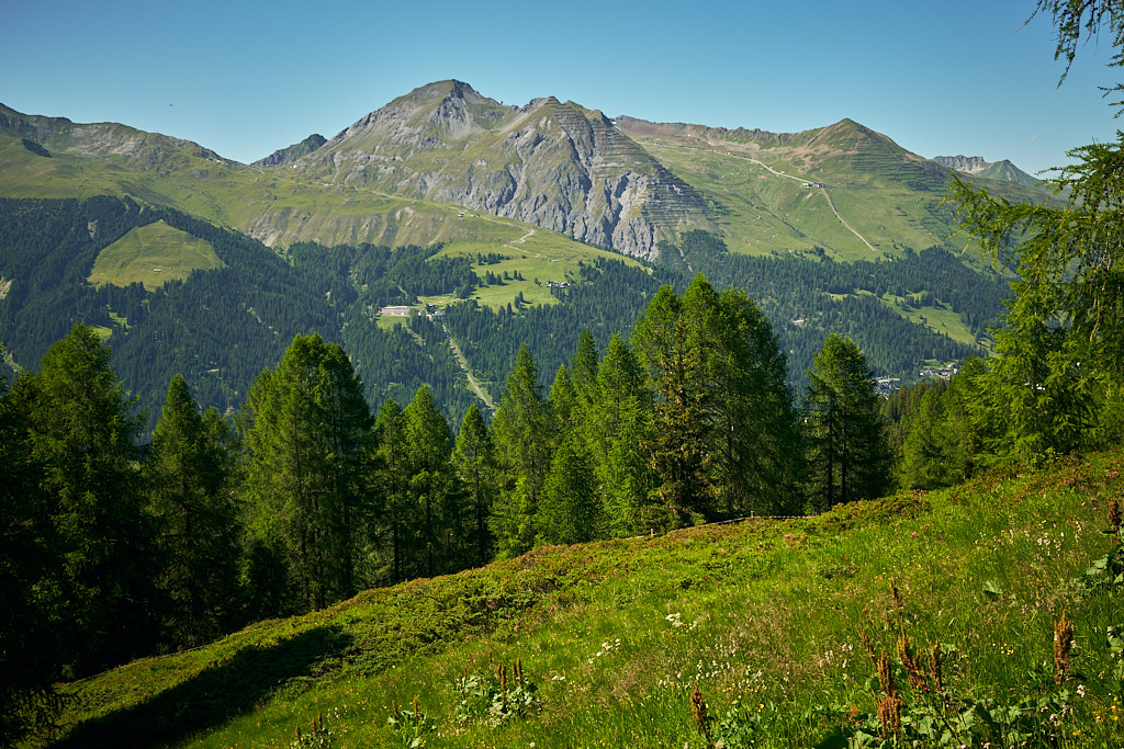 Die Schatzalp und das benachbarte Parsenngebiet Die Schatzalp und das benachbarte Parsenngebiet