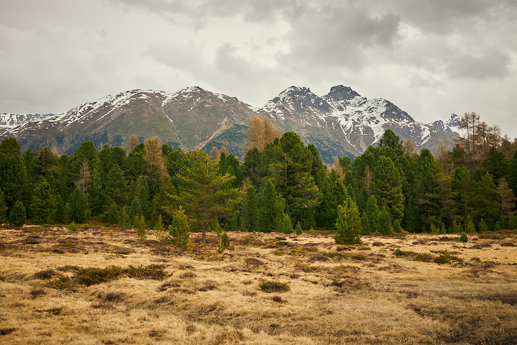 Blick vom Lej da Staz auf den Piz Muragl bei Pontresina Blick vom Lej da Staz auf den Piz Muragl bei Pontresina