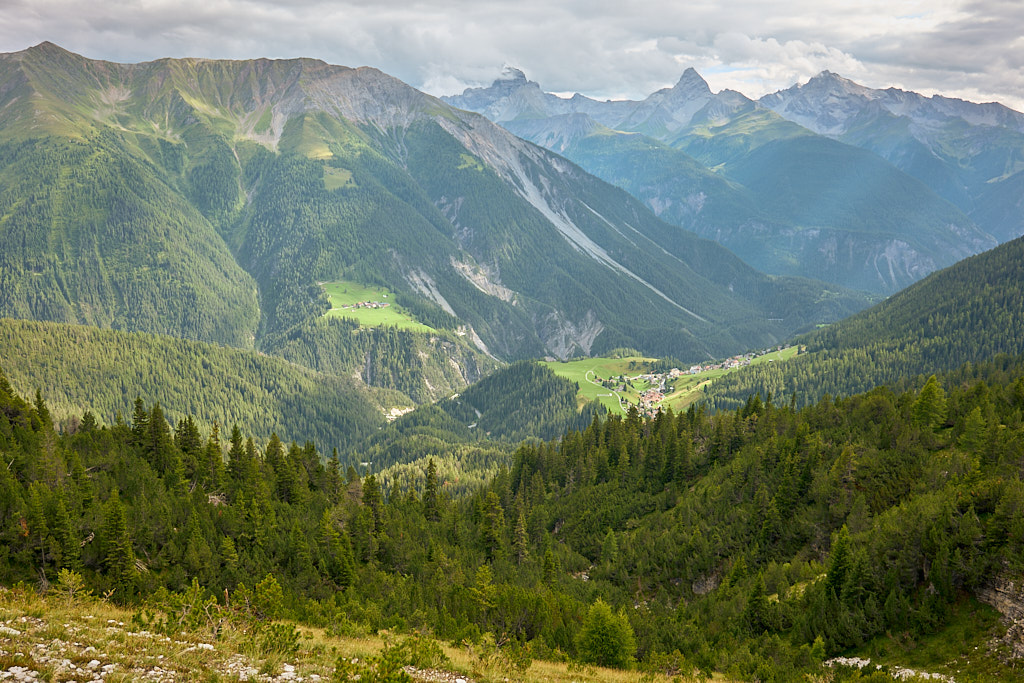 Blick hinunter auf Davos Wiesen Blick hinunter auf Davos Wiesen