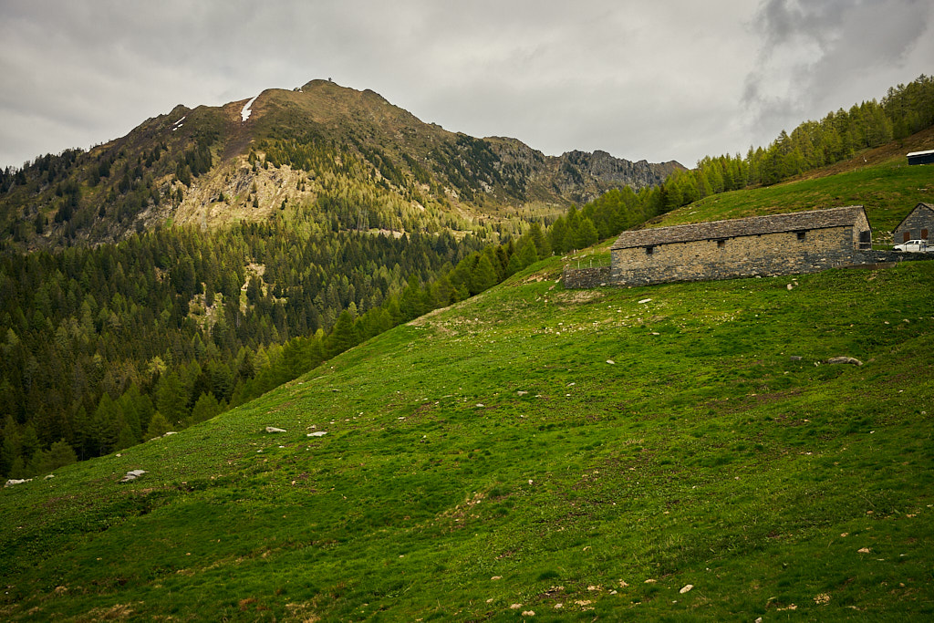 Alpe di Gesero und Cima delle Cicogne Alpe di Gesero und Cima delle Cicogne