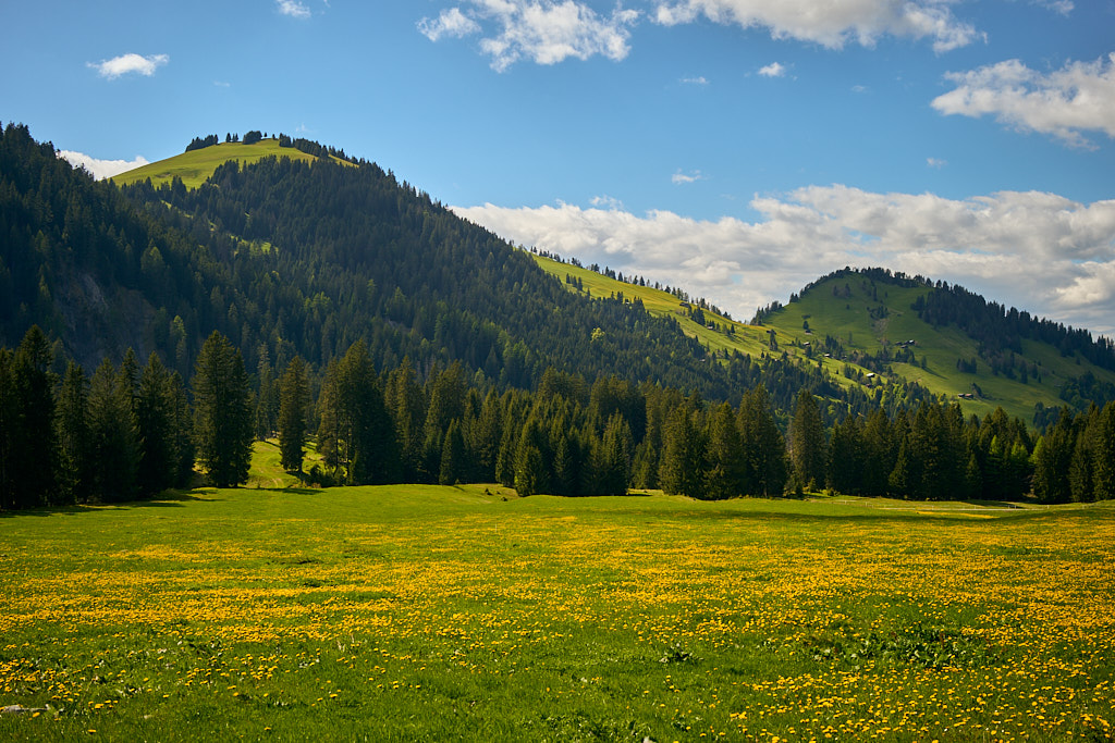 Blick zurück auf den Sayser Chopf Blick zurück auf den Sayser Chopf