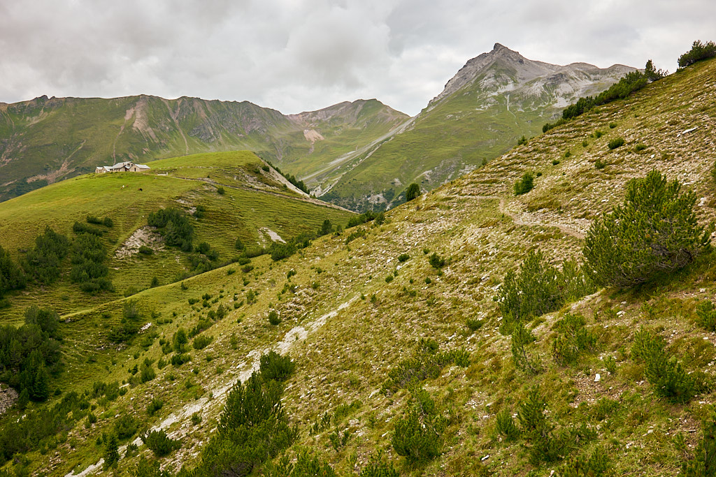 Unterwegs zur Alvascheiner Alp Unterwegs zur Alvascheiner Alp