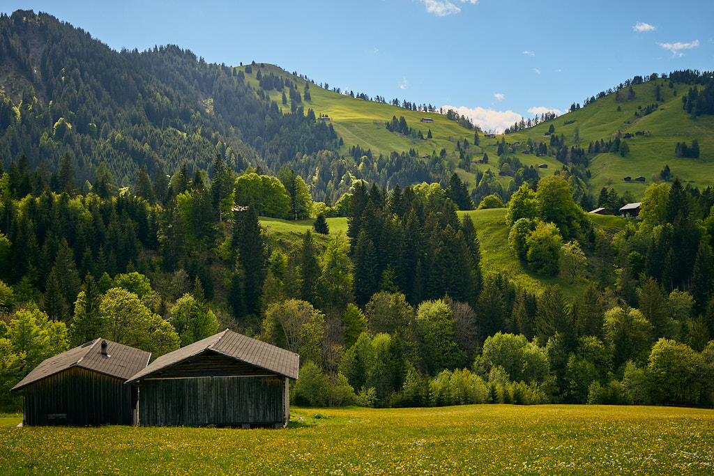 Gipfelzüge oberhalb von Valzeina Gipfelzüge oberhalb von Valzeina