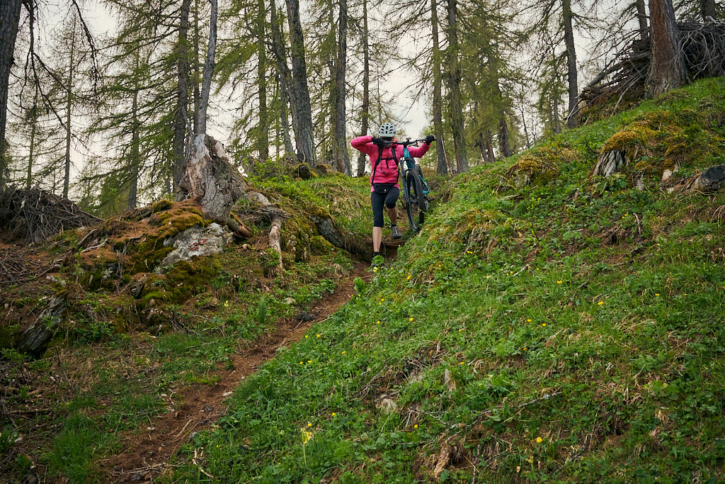 Abstieg auf nassem Trail nach Alpboden Abstieg auf nassem Trail nach Alpboden