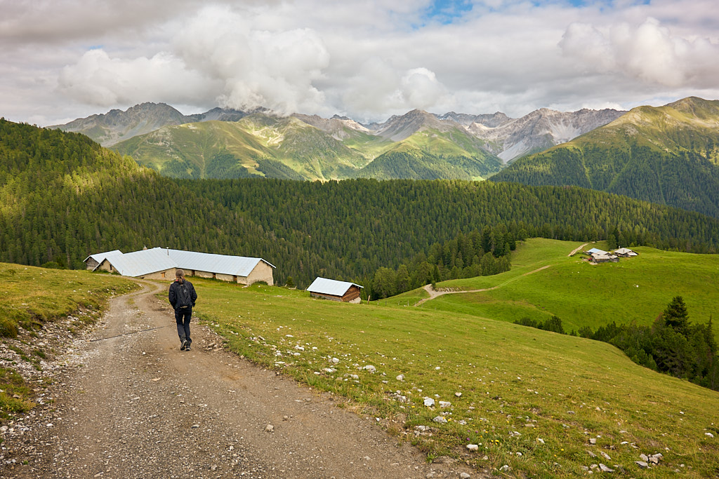 Alvascheiner Alp und Alp Vedra Alvascheiner Alp und Alp Vedra