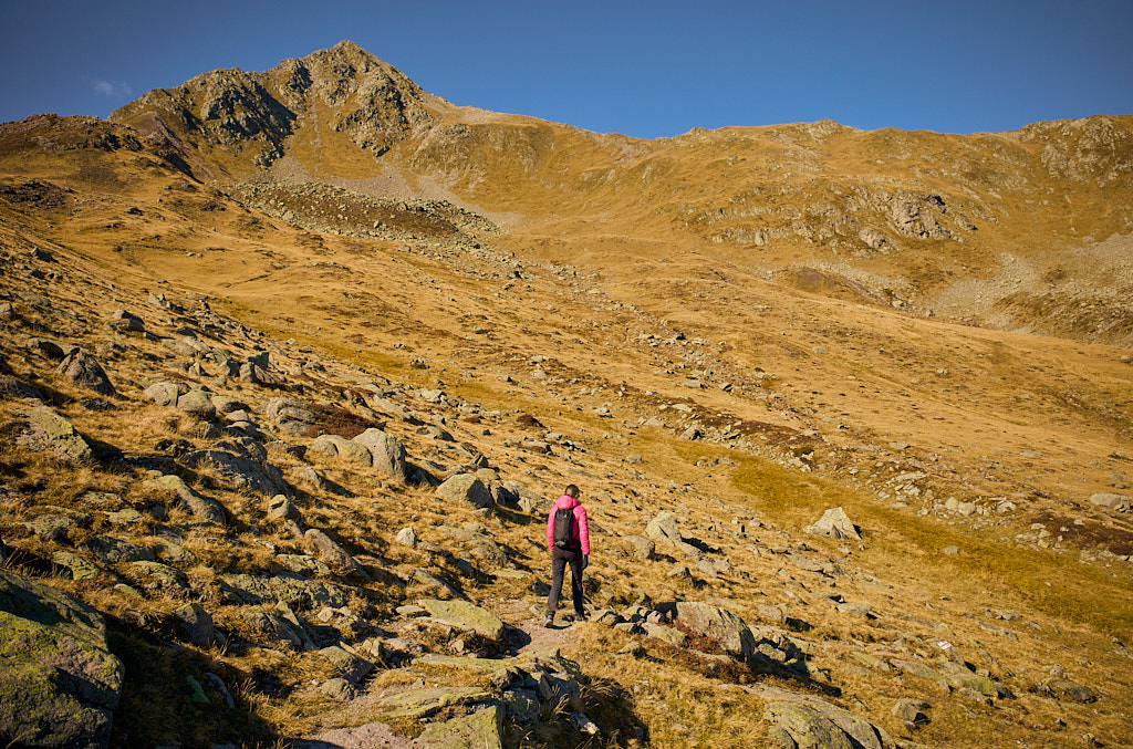 Auf dem Rückweg ins Tal Auf dem Rückweg ins Tal