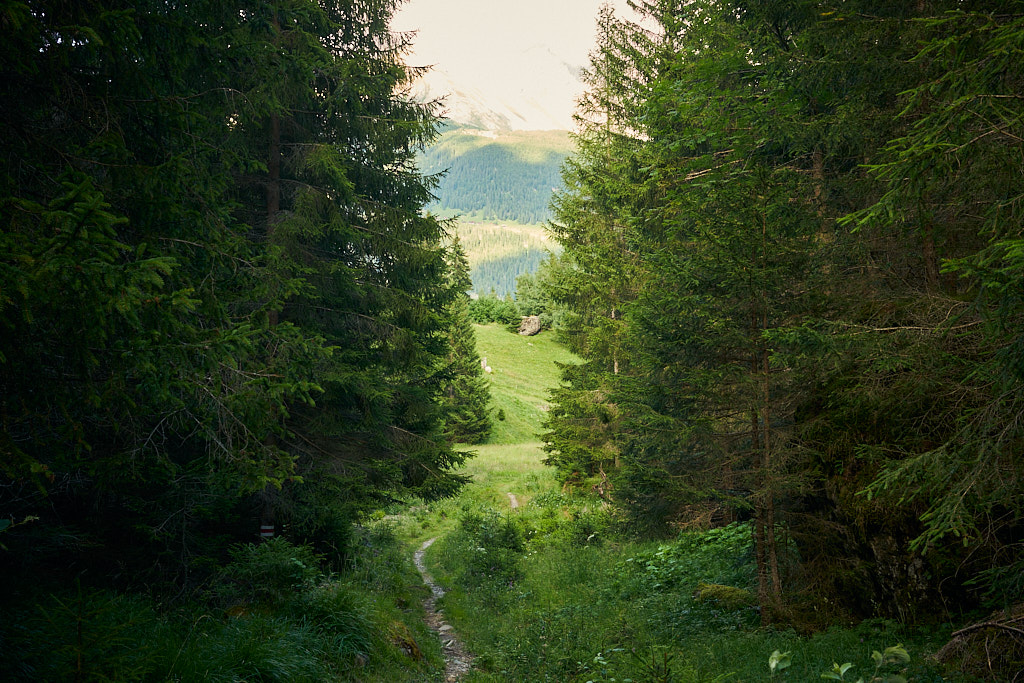 Kurz vor Ende der Abfahrt im Val da Morts Kurz vor Ende der Abfahrt im Val da Morts