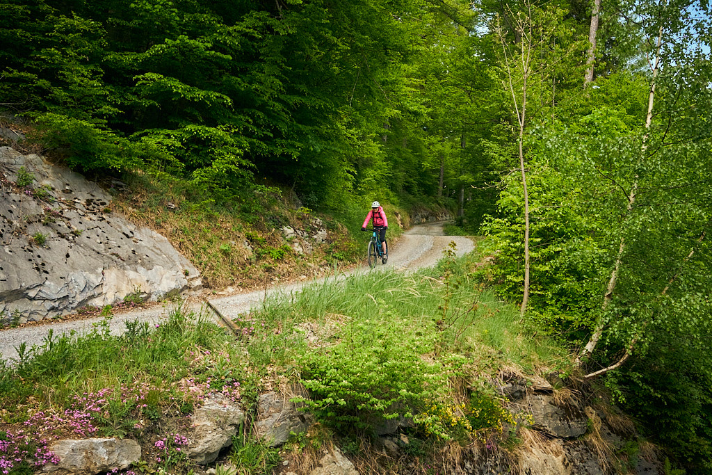 Auf der Abfahrt nach Haldenstein Auf der Abfahrt nach Haldenstein