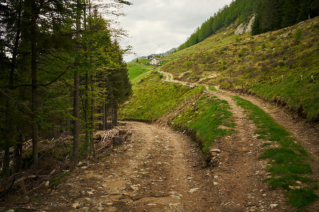 Vor der Alpe della Costa beim Anfang der Abfahrt ins Tal Vor der Alpe della Costa beim Anfang der Abfahrt ins Tal