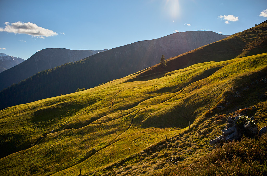 Grashänge oberhalb der Chummeralp Grashänge oberhalb der Chummeralp