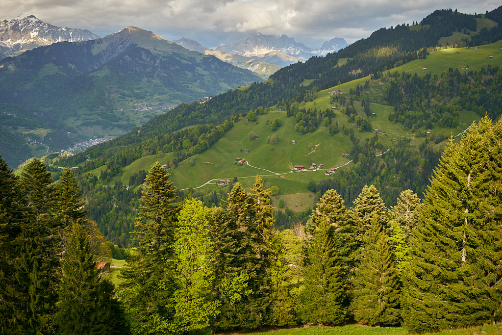 Aussicht von der Mittagsspitze auf das Prättigau Aussicht von der Mittagsspitze auf das Prättigau