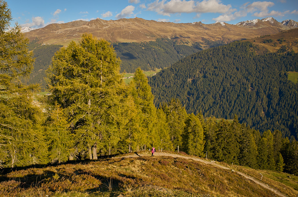 Oberhalb der Chummeralp Oberhalb der Chummeralp