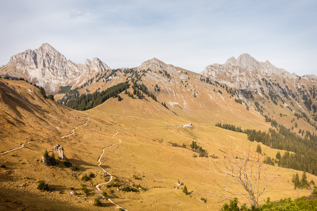 Blick zurück vom Pass zur Lechaschauer Alpe