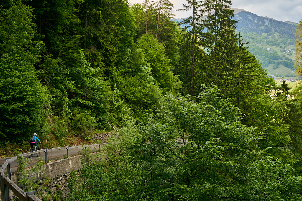 Auf dem alten Weg im Mülitobel hinunter nach Seewis Auf dem alten Weg im Mülitobel hinunter nach Seewis