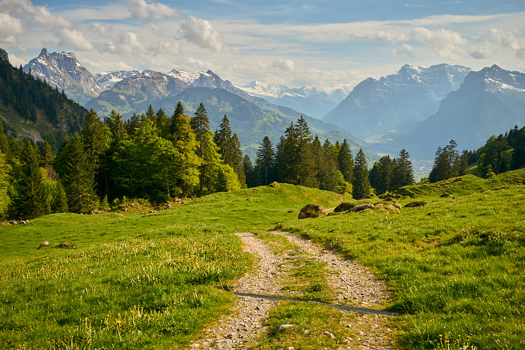 Bergpanorama der Glarner Alpen bei der Abfahrt Bergpanorama der Glarner Alpen bei der Abfahrt