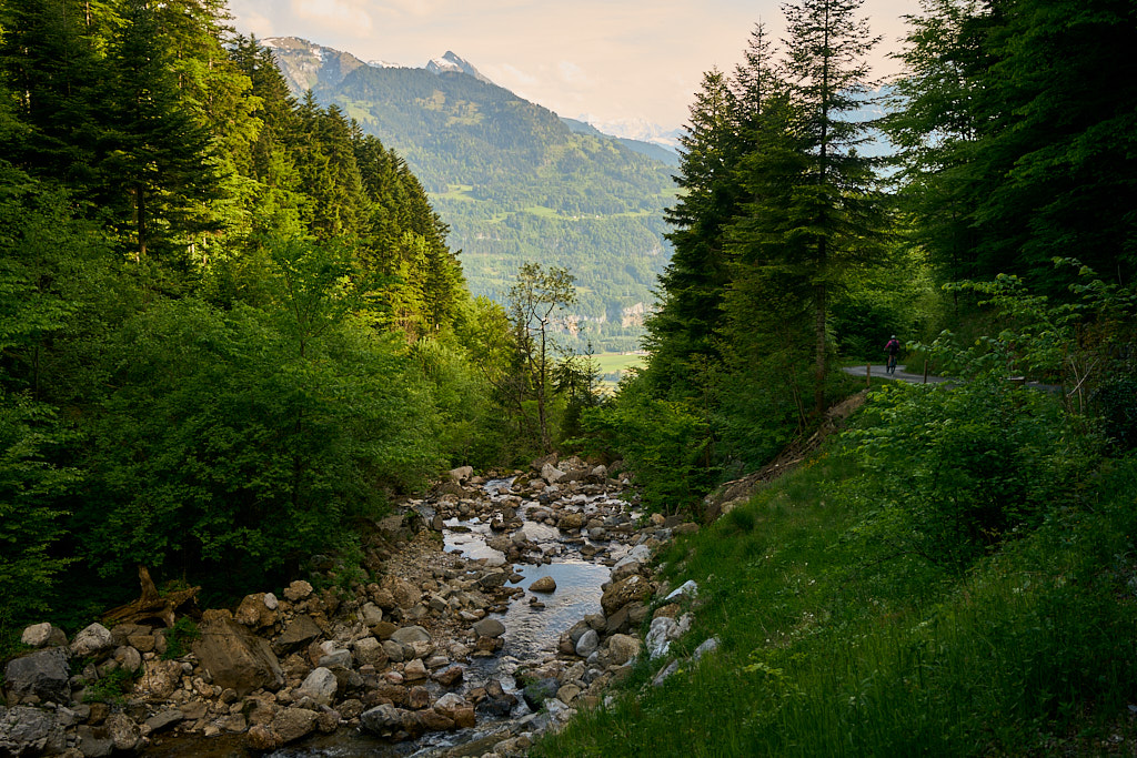 Im unteren Teil der Abfahrt nach Weesen Im unteren Teil der Abfahrt nach Weesen
