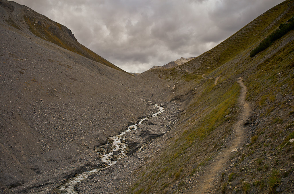 43263d03e6.jpg