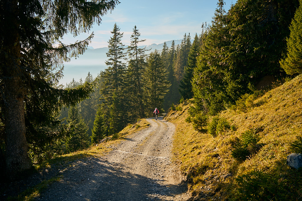 Auf der Abfahrt nach Trin