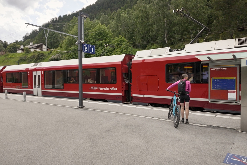 475ec1c306.jpg