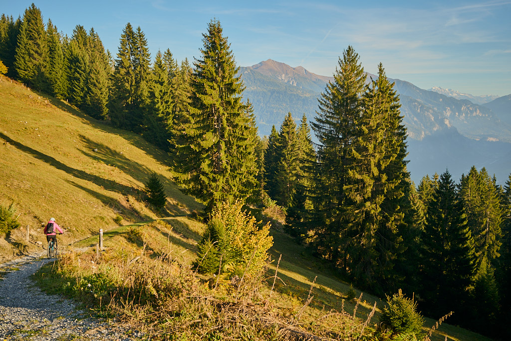 Auf der Abfahrt nach Trin