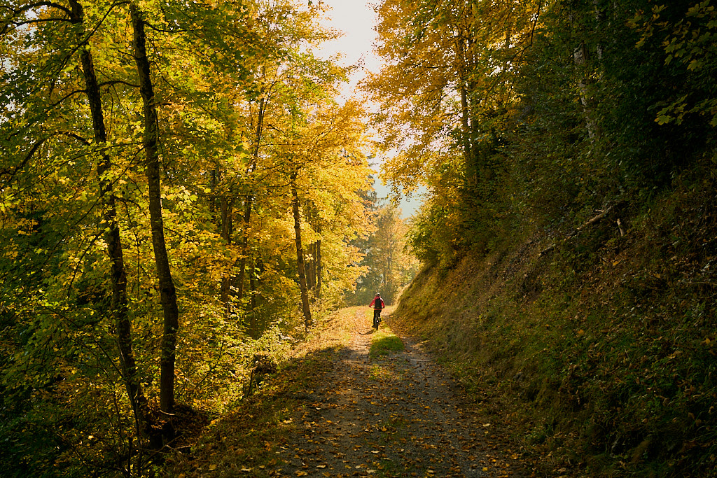 Auf der Abfahrt nach Trin