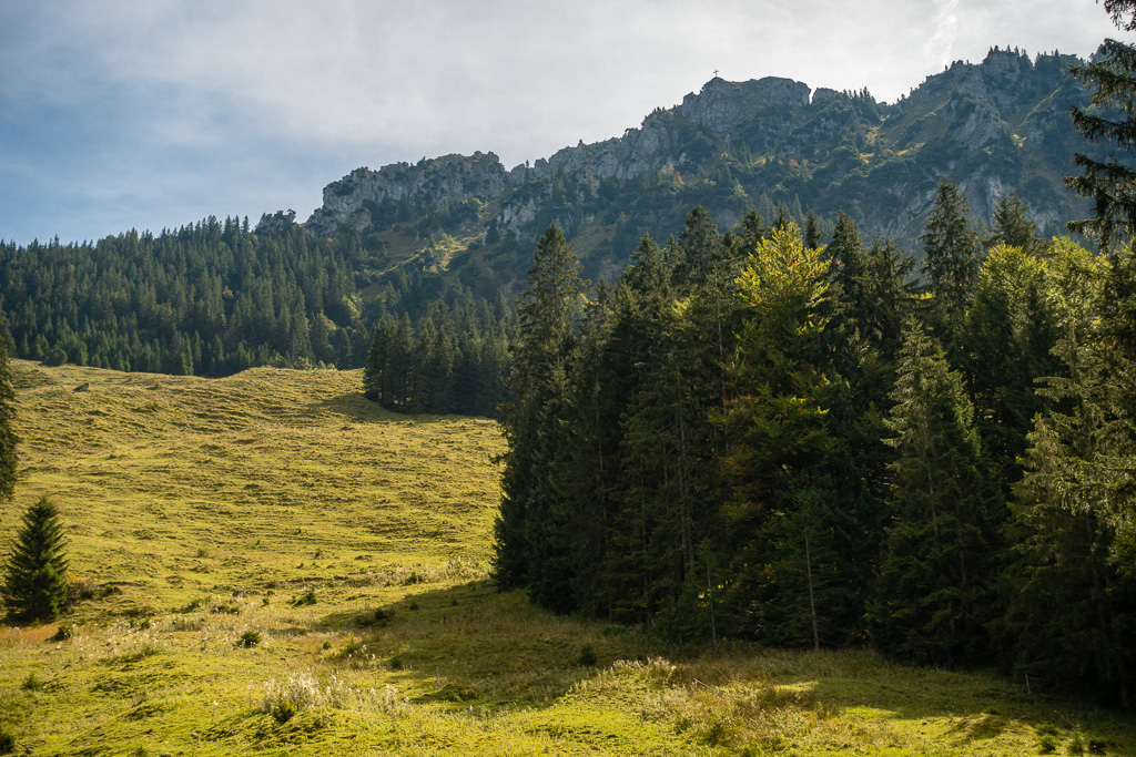 Aufstieg über Weiden zur Älpelealpe Aufstieg über Weiden zur Älpelealpe