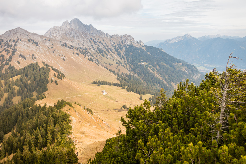 Lechaschauer Alpe und Gehrenspitze