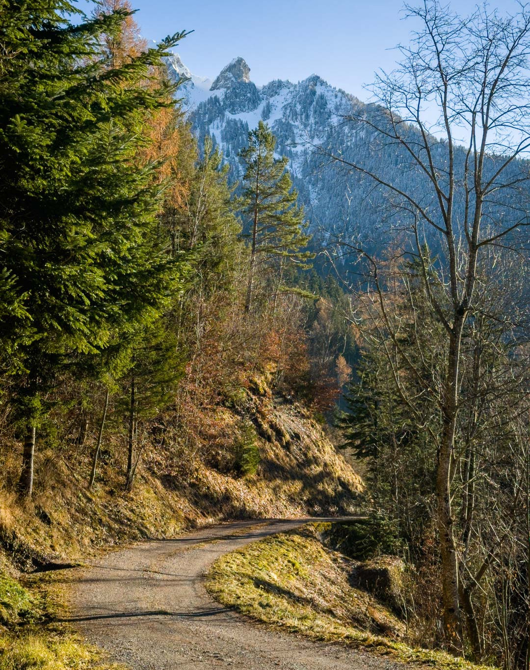 Waldabfahrt von Triesenberg nach Balzers