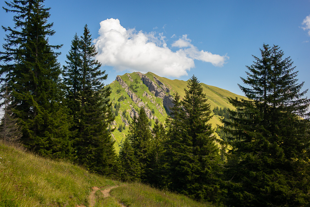 Blick auf den Gündleskopf