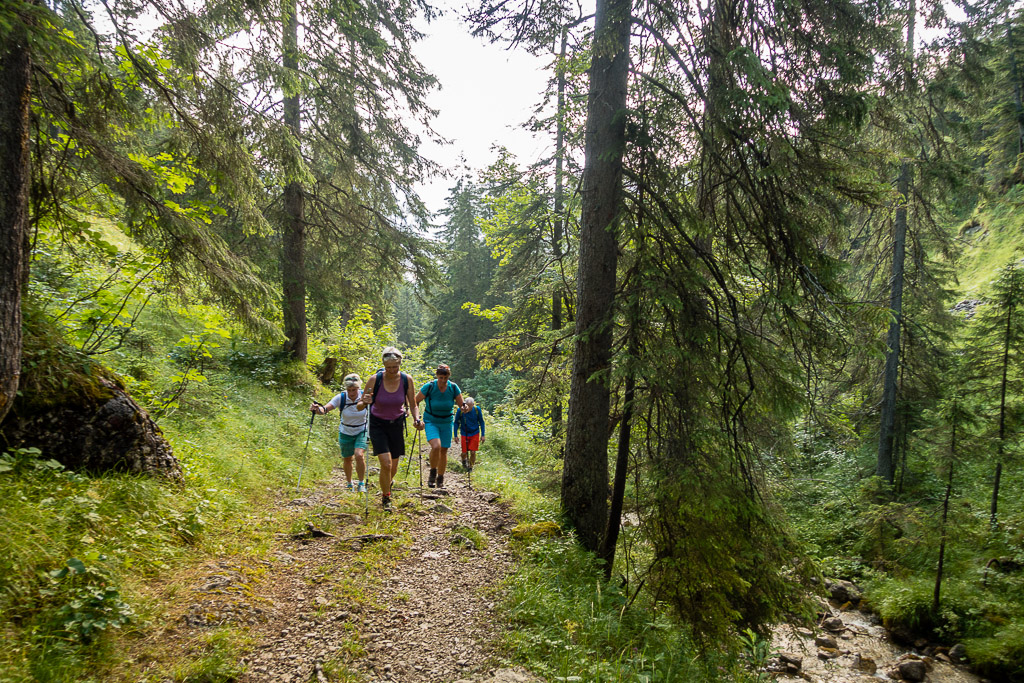 Aufstieg von Tannheim durch den Wald