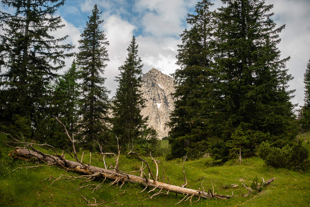 Blick aufs Gaishorn von der oberen Roßalpe