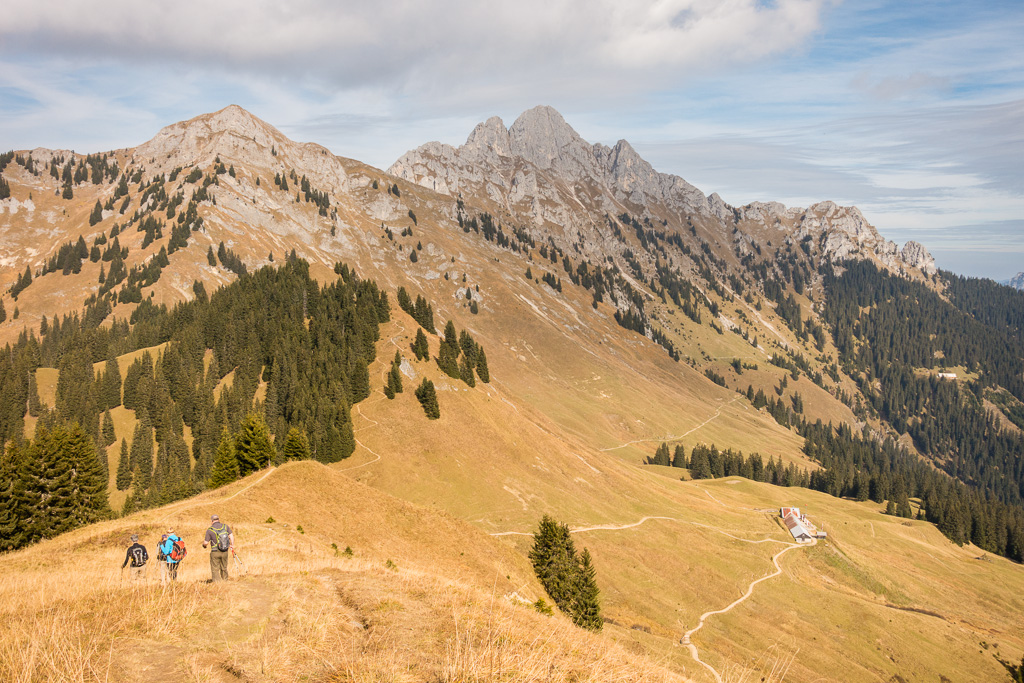 Abstieg zur Lechaschauer Alpe